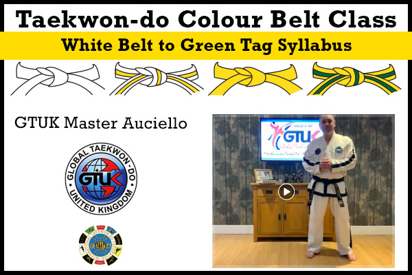 Taekwon-do Colour Belt Classes