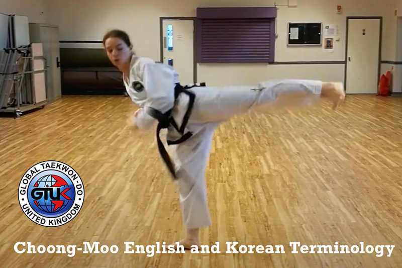 Moves of Choong-Moo in English and Korean