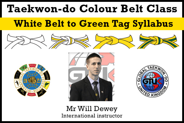 White belt, Yellow tag, Yellow belt, Green tag Syllabus