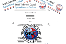 GTUK DBS Safeguarding Course Saturday 21st May 2023 This is an important date for all New and renewal DBS registered BTC / GTUK instructors to attend.